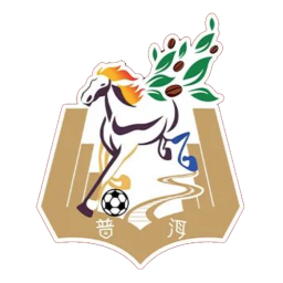 大理队