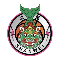 揭阳队