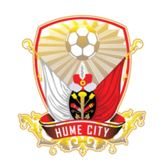 墨尔本市NPL