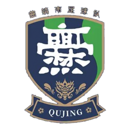德宏队